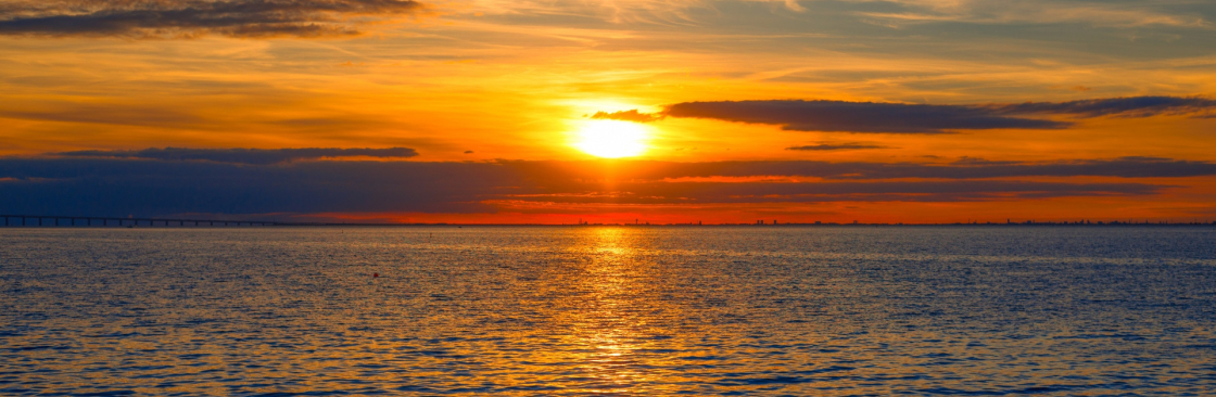 Will Dadswell Cover Image