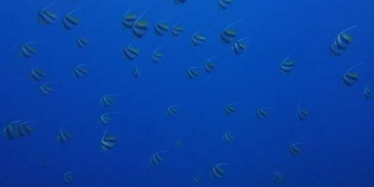 Nigerian Forward Ade Adeyemo Extends Contract with Crawley Town