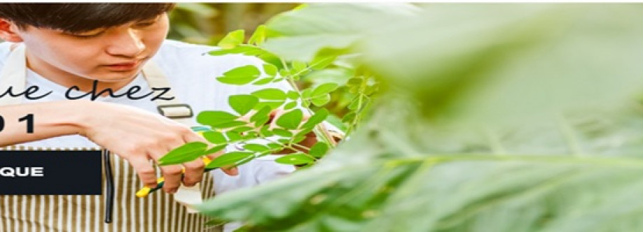 DEAL201 Avis Cover Image