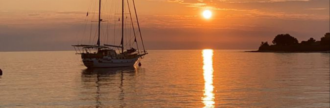 Bella Bunny Cover Image