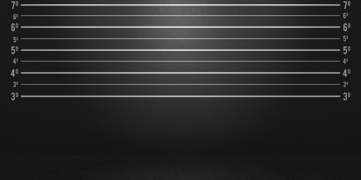 A New Era of No Credit Payday Loan Lenders: Innovations and Opportunities