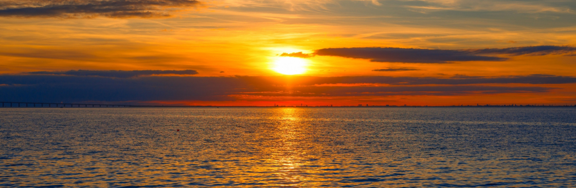 Samantha Miller Cover Image