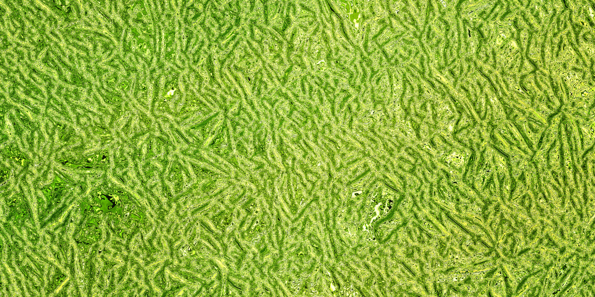 Personal Loans for Teachers with Bad Credit: A Comprehensive Guide