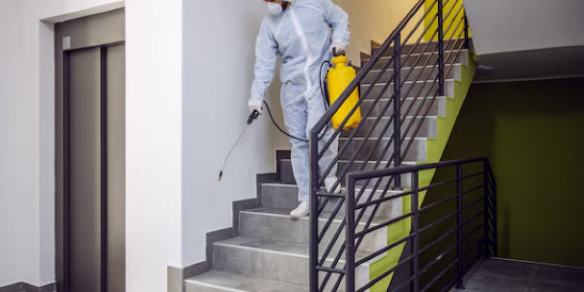 Reliable Pest Control Solutions for Homes & Businesses in Springfield, MO | 417 Pest Solutions