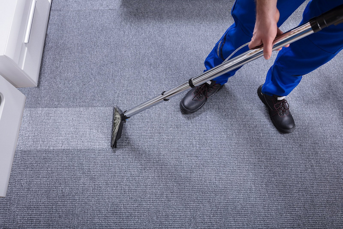 The Ultimate Guide to Choosing Carpet Extractors for Businesses | PurposeOf