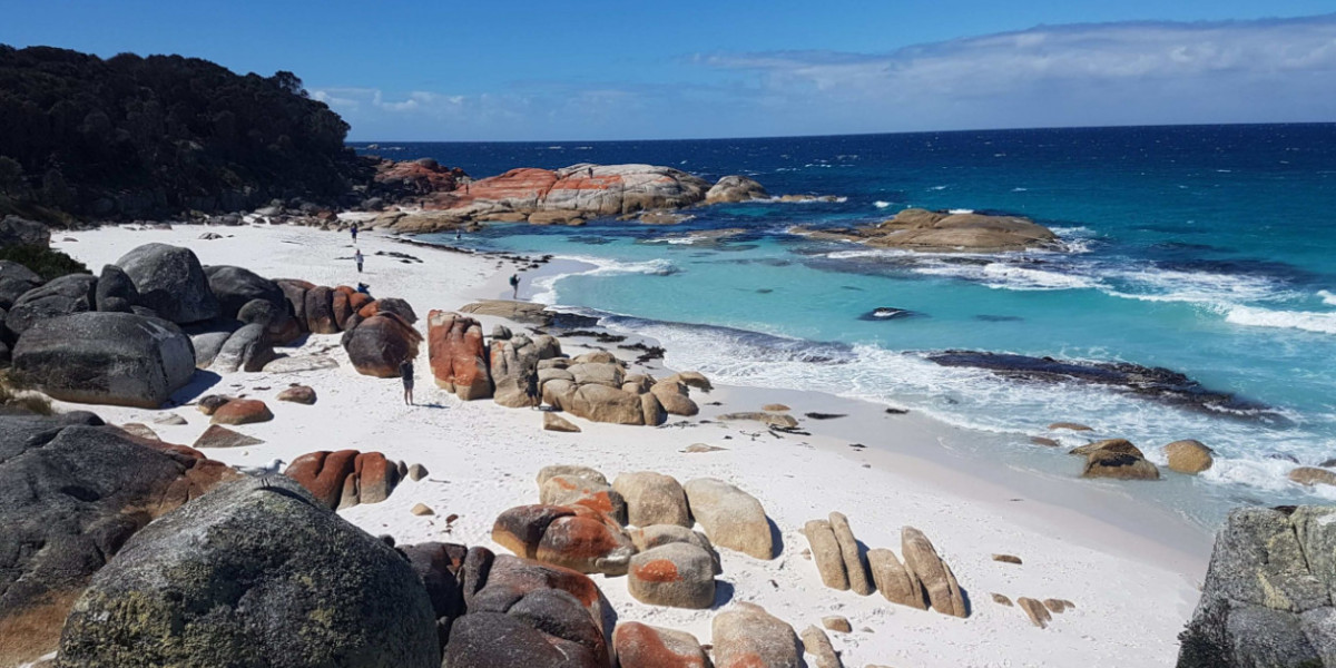 Tasmania 4 Day Itinerary: Experience the Wild Side with Wild Tasmania Tours