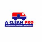 A Clean Pro Profile Picture