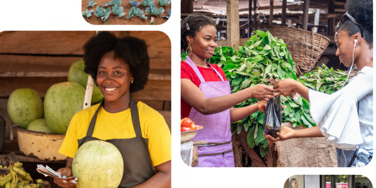 Microfinance for Women in Rural Development South Africa | WDB Trust