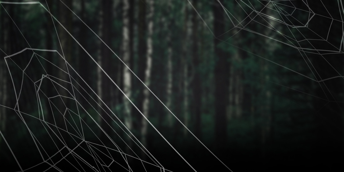 Understanding Same Day Online Loans with No Credit Check