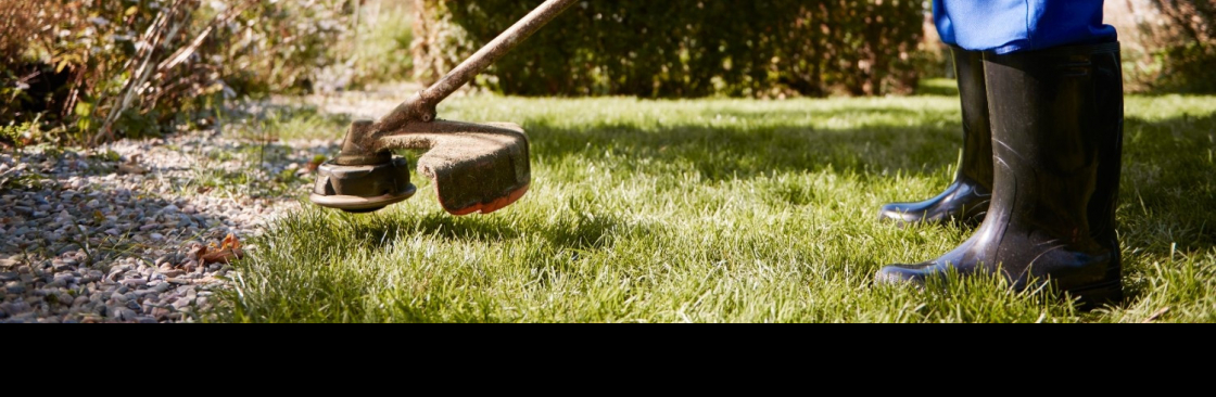 Dad Mows Best Cover Image