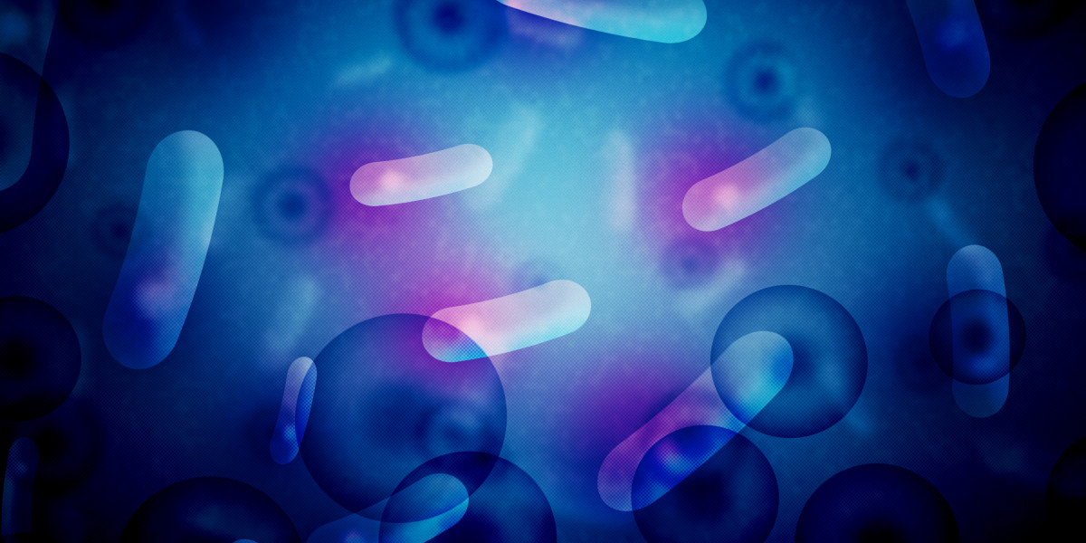 Quick Money Options: Navigating No Credit Choices In 2023