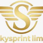 Skysprint Limo Profile Picture