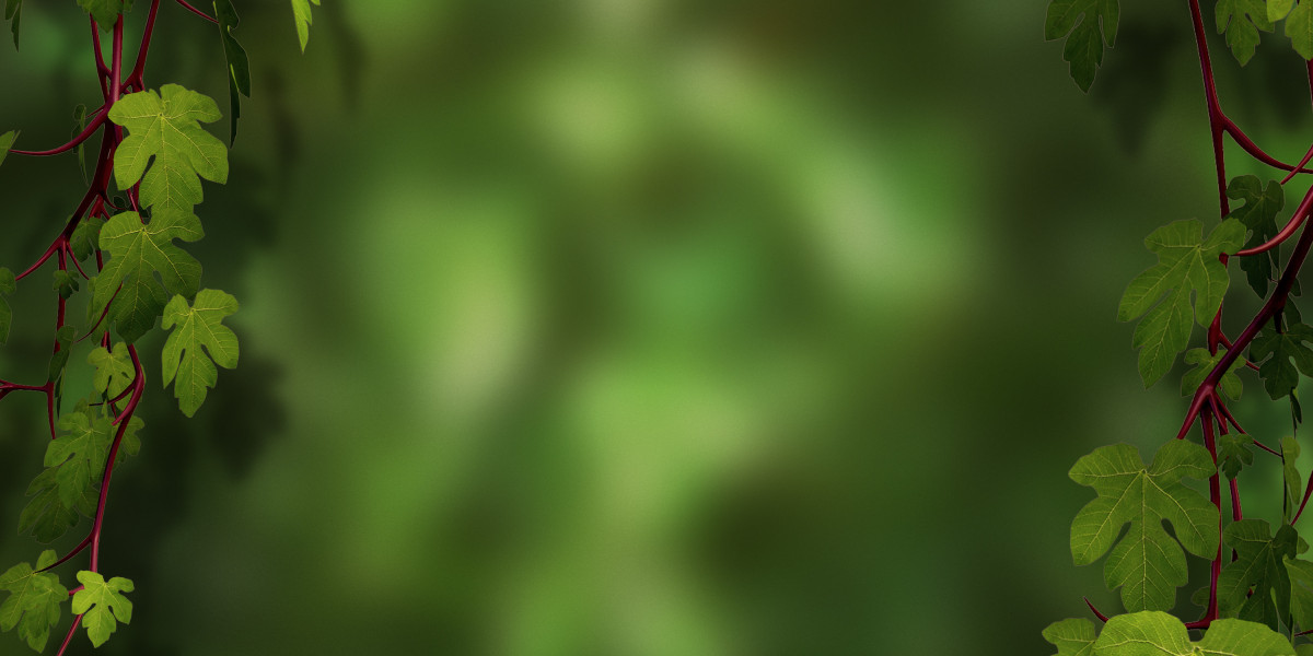 Exploring Ameriprise Gold IRA: A Comprehensive Case Study