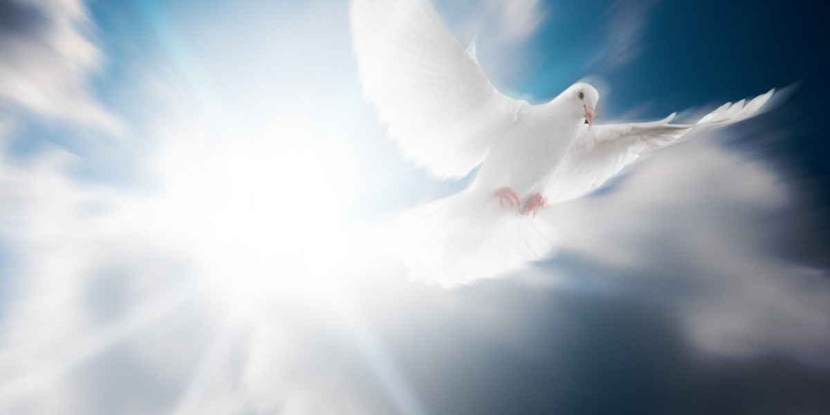 Understanding Emergency Loans with No Credit Check: A Comprehensive Guide