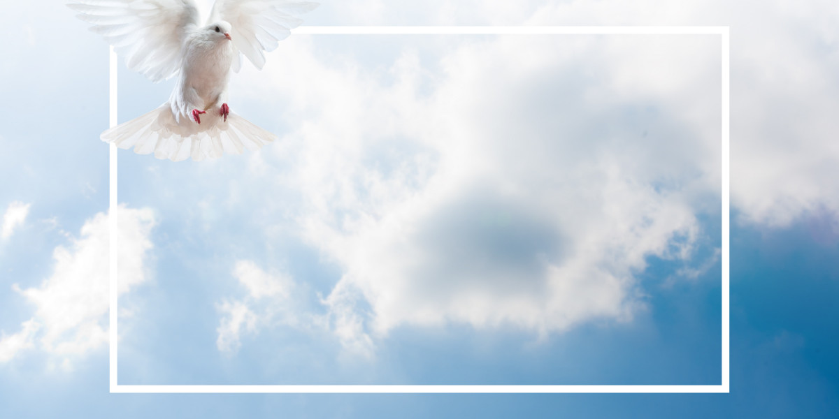 Exploring Affordable Private Flights: A Guide to Budget-Friendly Air Travel