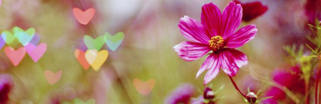 Ailey Clark Cover Image