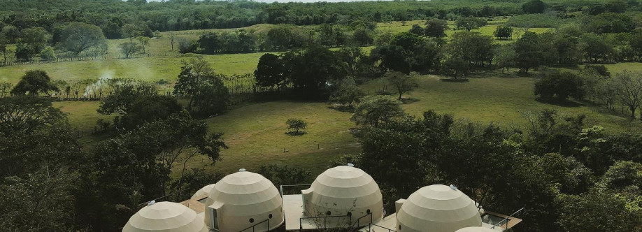 Alaya Panama Cover Image