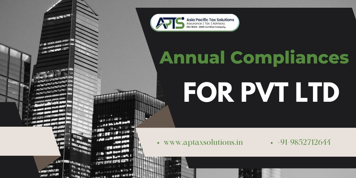 Audit and Filing Requirements for Pvt Ltd Annual Compliance