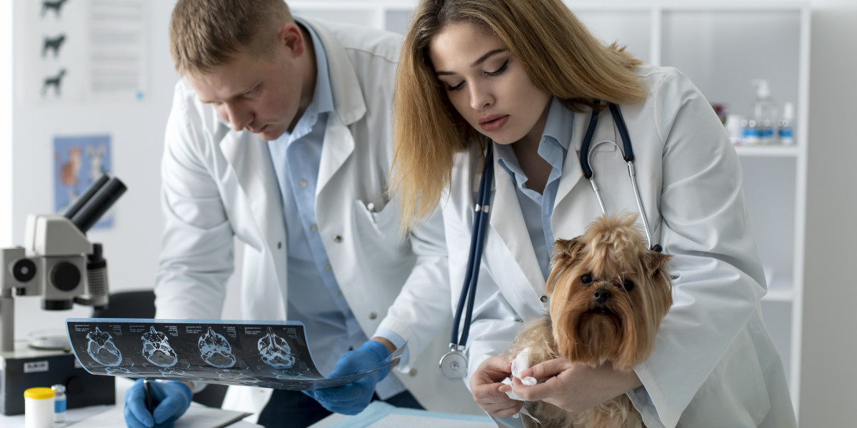 Obesity In Animals Treatment in Ontario