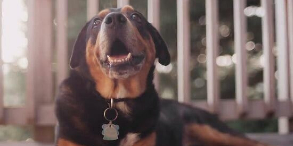 Father-son Duo 'ghost Brokers' Scammed Drivers Out Of ₤ 60k.