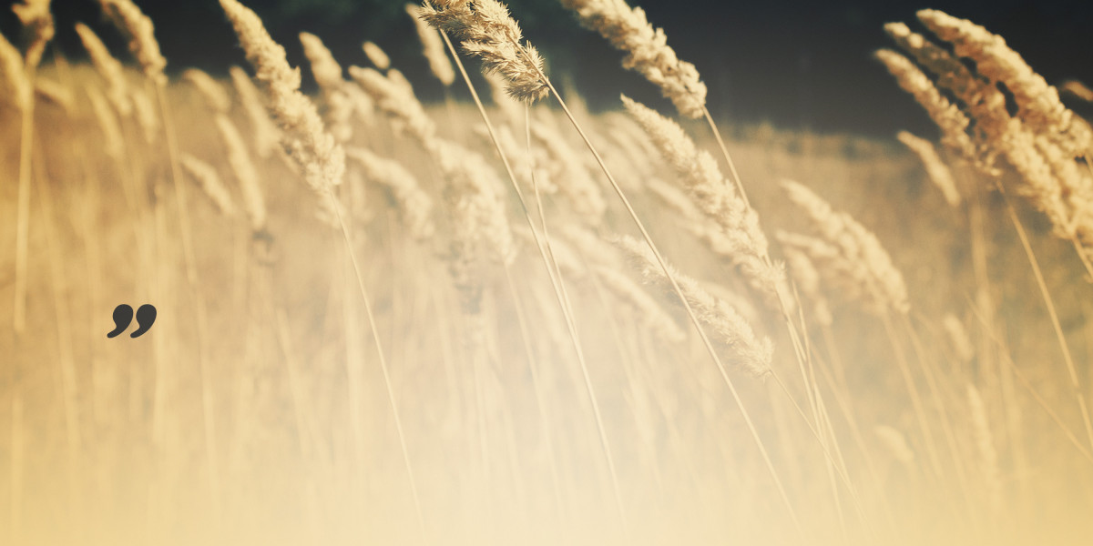 Best Gold IRA Company: A Complete Overview