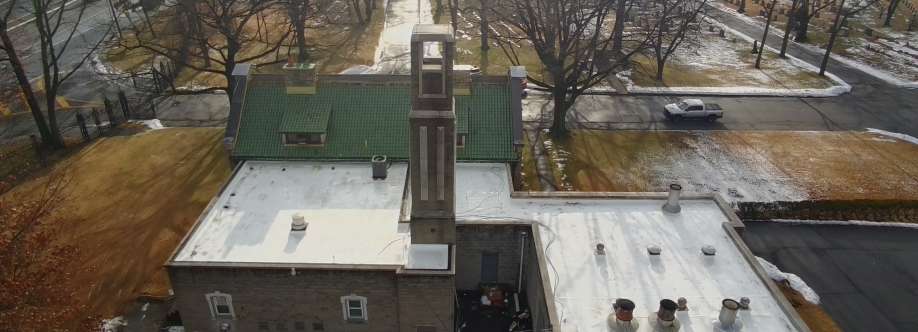 Roof Shark Cover Image