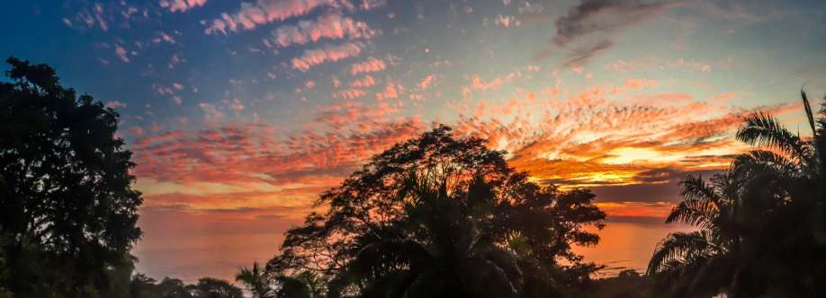 Dominical Real Estate Cover Image