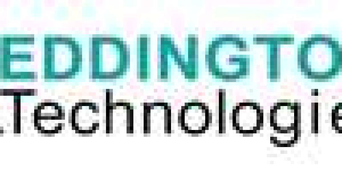 Insider Tips for Finding Your Perfect Chicago Web Development Agency