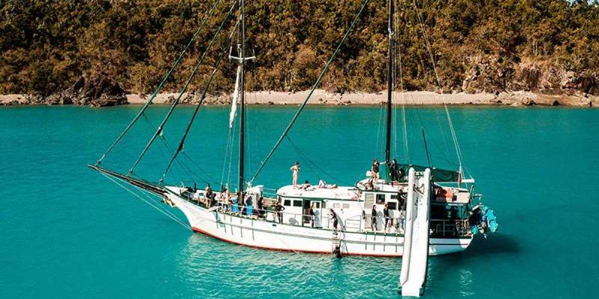 Safe and Social: How to Choose Sailing Trips for Solo Travellers