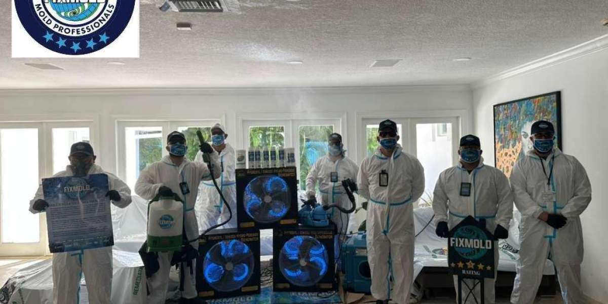 Mold Remediation in Miami: Safe Indoor Recovery With Advanced Coronavirus Cleaning Miami Solutions