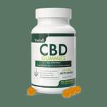 TroyesWoods Profile Picture