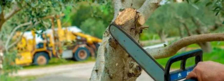 banyantreeremoval Cover Image