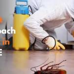 Dominator Control Profile Picture