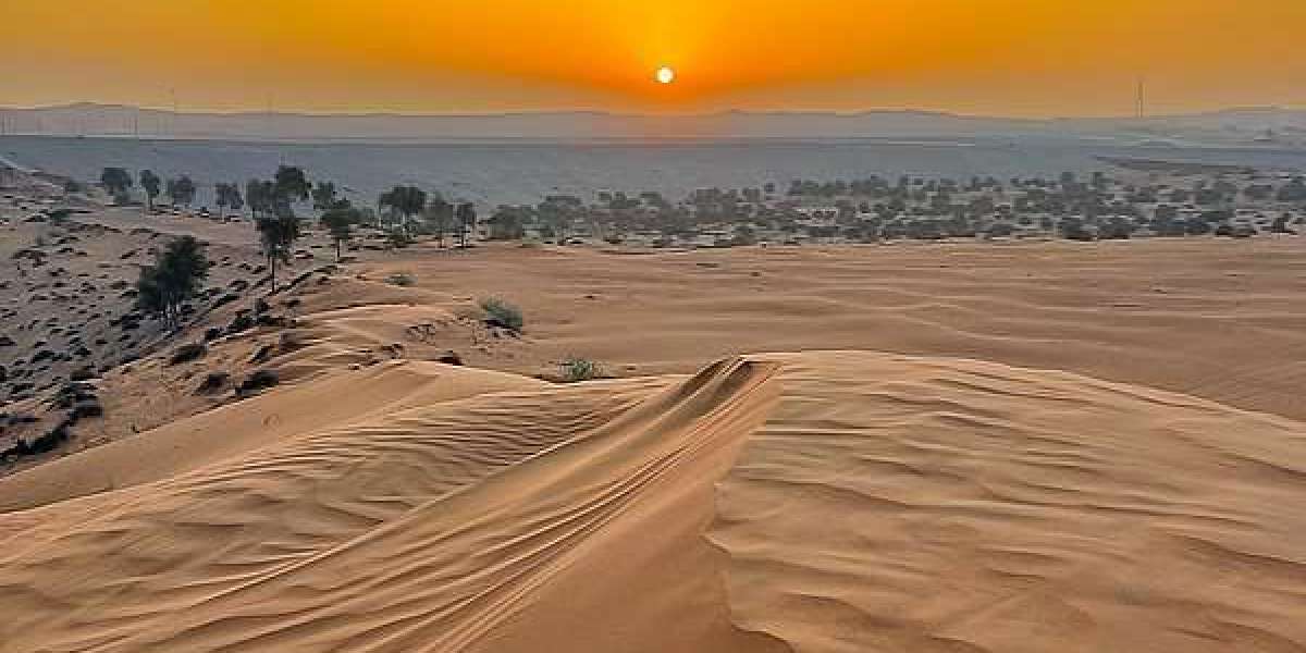 Best Desert Safari in Abu habi: A Hidden Gem Experience at Al Khatim Desert