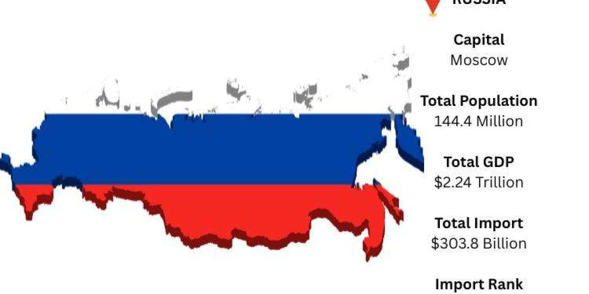 Russia Import Data – Latest Insights into Russia’s Import Trade and Market Demand