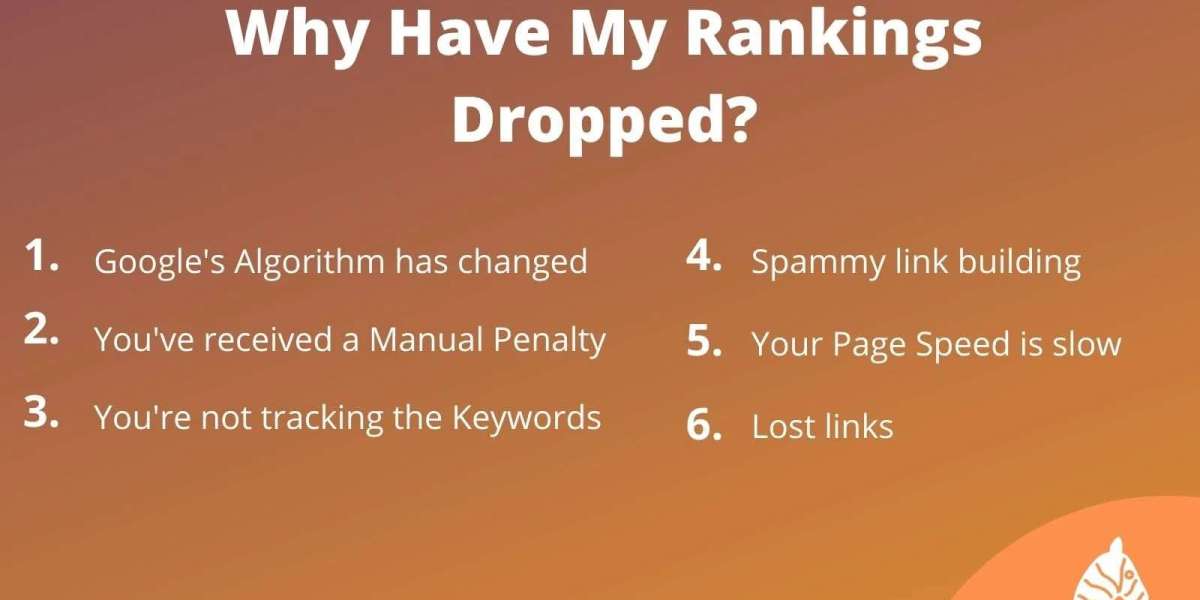 What Causes Rankings to Drop Even Without Algorithm Updates