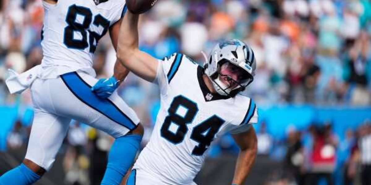 Panthers signing punter Sam Martin