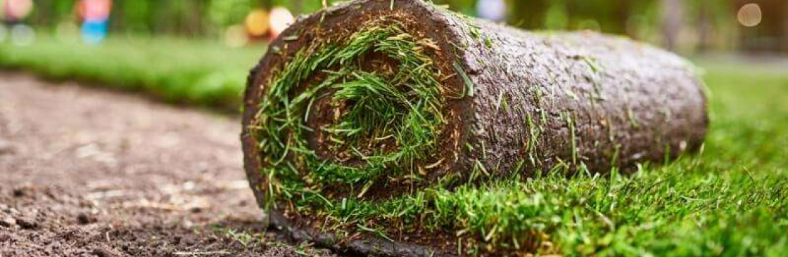 Turf Installation Sydney Cover Image