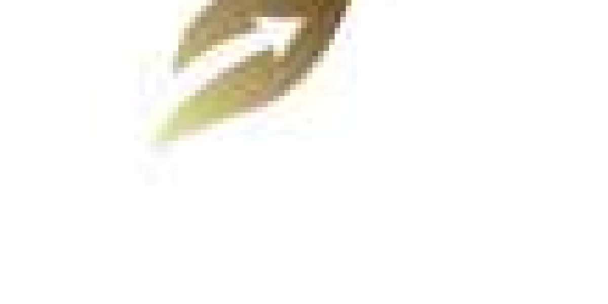 Transform Your Health at a Leading TRT Clinic – A Complete Guide to Hormone Optimization