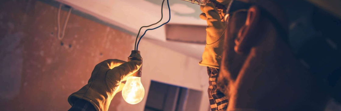 The Electrician Cover Image