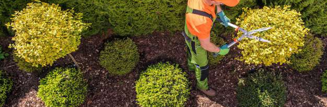 Central Arkansas Landscape Studio Cover Image