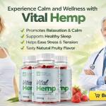 kiranmishra1969 Profile Picture