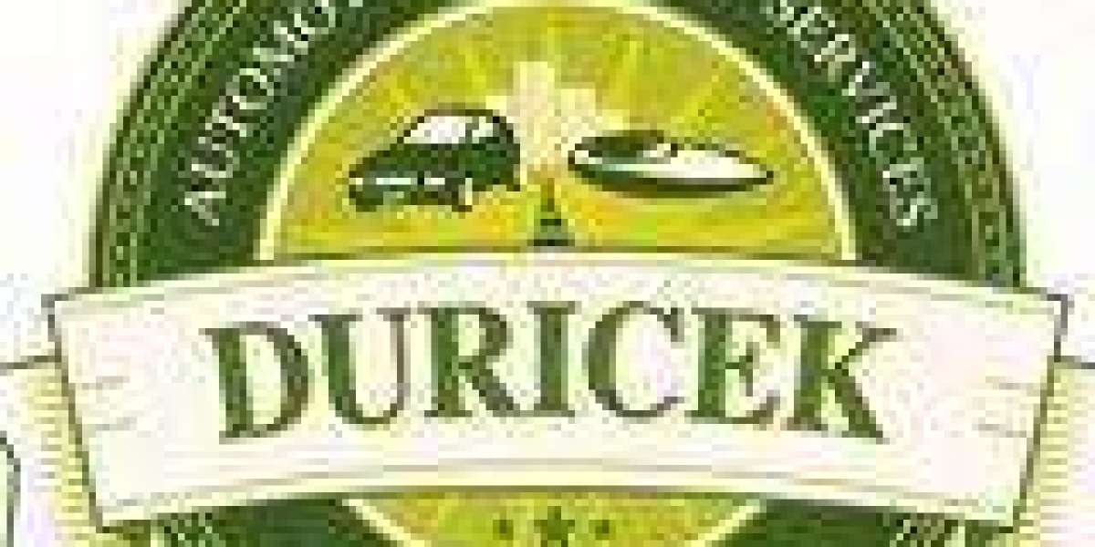 Professional Automotive Service for Safe and Reliable Driving