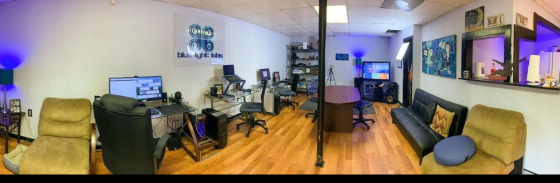 Blue Light Labs Inc Cover Image