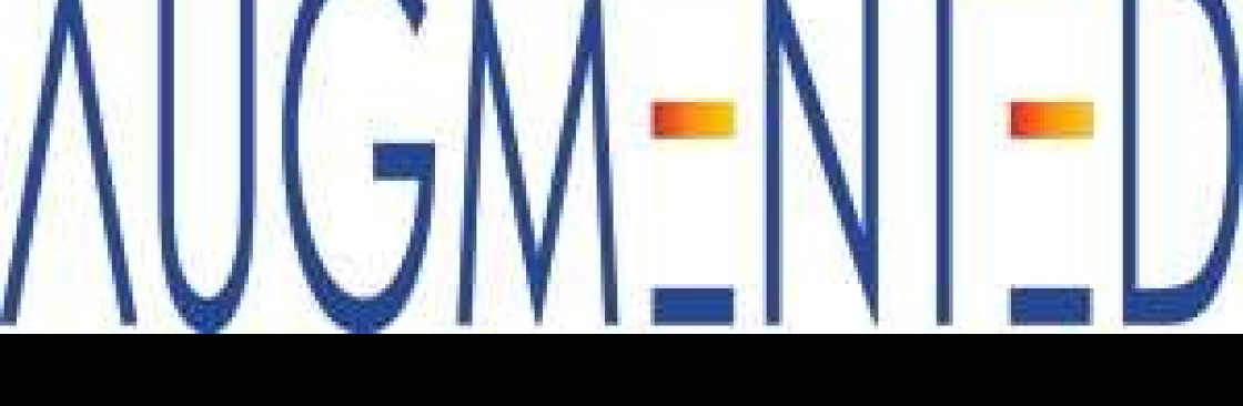 Augmented Systems Cover Image