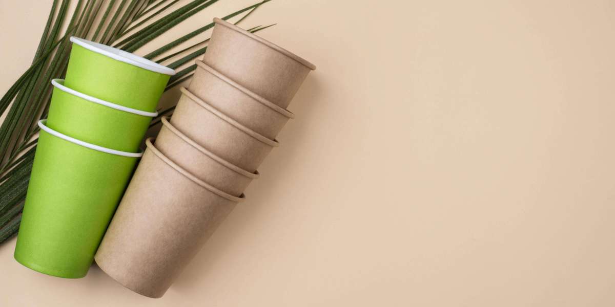 Biodegradable Cups Market Size, Demand, Forecast 2020 - 2033