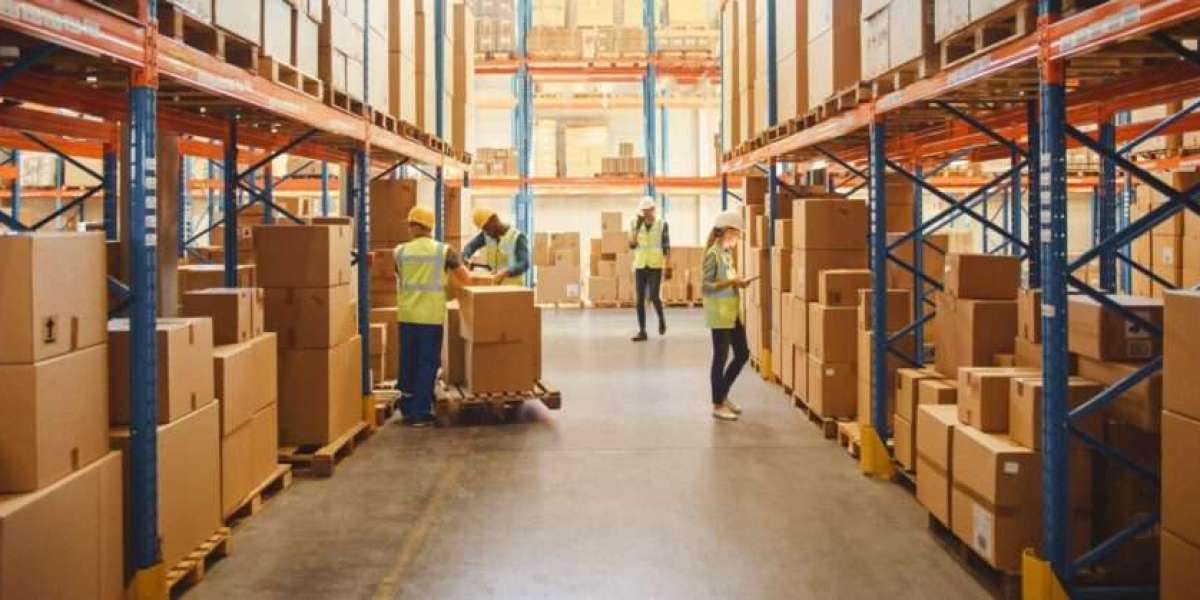 3PL Services Cameroon for Scalable Logistics