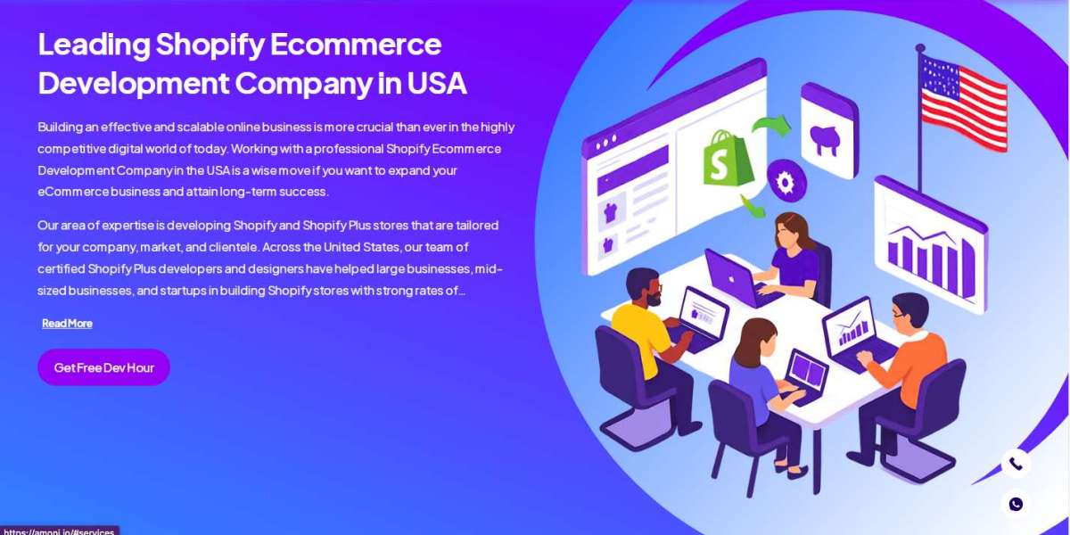 Custom Shopify Development Services in USA | Amoni