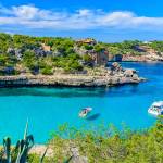 Nicholas Phelps Profile Picture