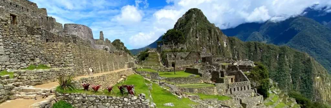 Sparrow Explorer Cover Image